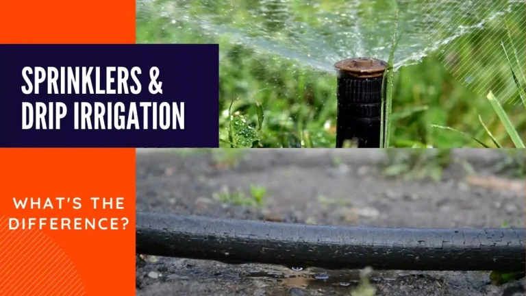 Is Drip Irrigation Better Than Sprinklers?