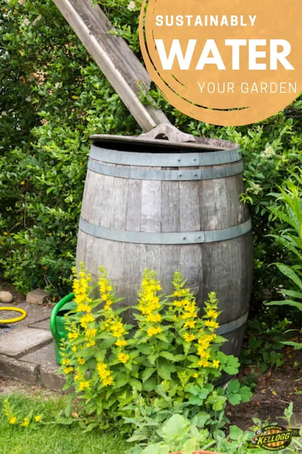 How to Water a Garden Without Running Water
